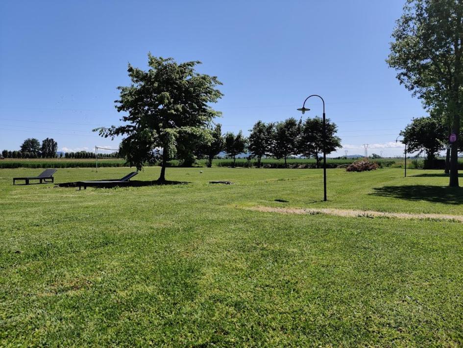 Agriturismo La Sophora Montegaldella Buitenkant foto